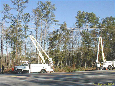 Trees often pose as conflicts to utility lines